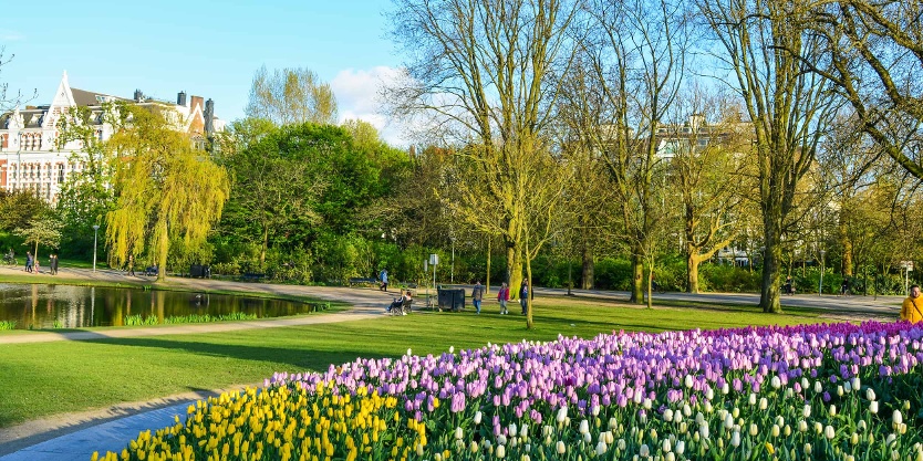 Top 20 Tourist Attractions in Amsterdam